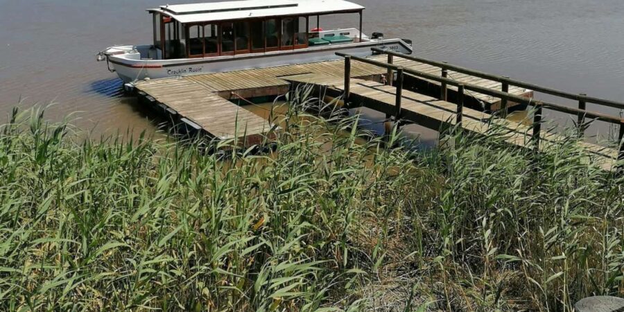 Velddrif: Berg River Cruise, Farm Tour & Manor House Lunch - Experience Overview