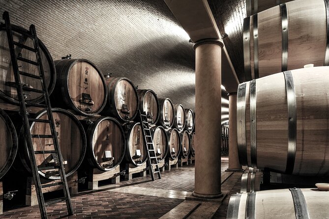 Verona Area: Wine Tasting Experience in Valpolicella