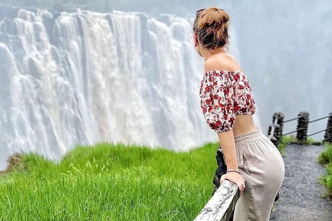 Victoria Falls Guided Tour (All Inclusive) - About Victoria Falls