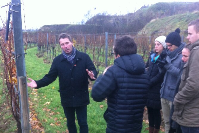 Vienna Wine Experience - Overview of the Tour