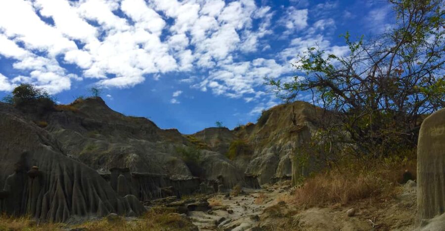 Villavieja: Tatacoa Desert Horseback Riding Tour