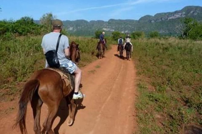 Viñales Horse Tour