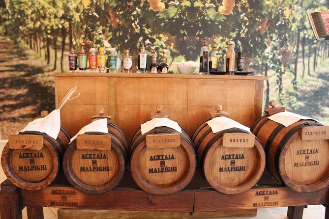 Vinegar Tour and Tasting With a Local in Modena - About the Vinegar Tour