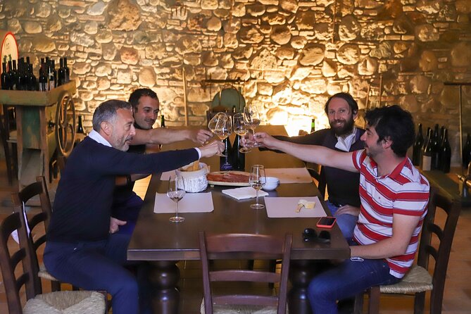 Vineyard Tour and Tasting of Lugana Wines - Overview of the Experience