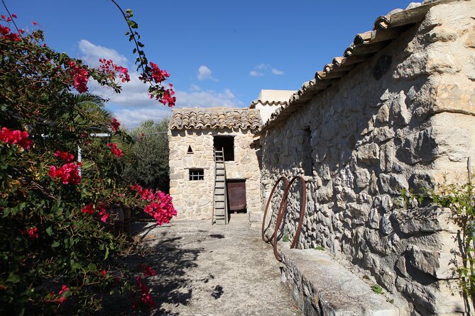 Vineyard Tour, Wine and Sicilian Delicacies Tasting at a Winery in Agrigento