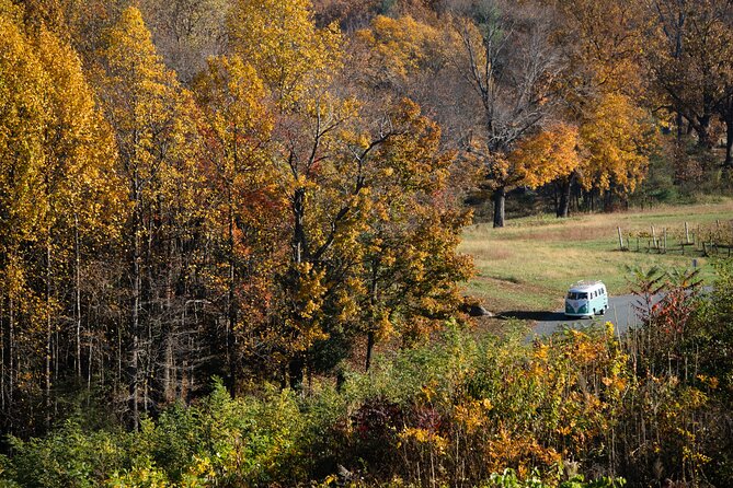 Vintage VW Private Wine Tour in Virginias Countryside