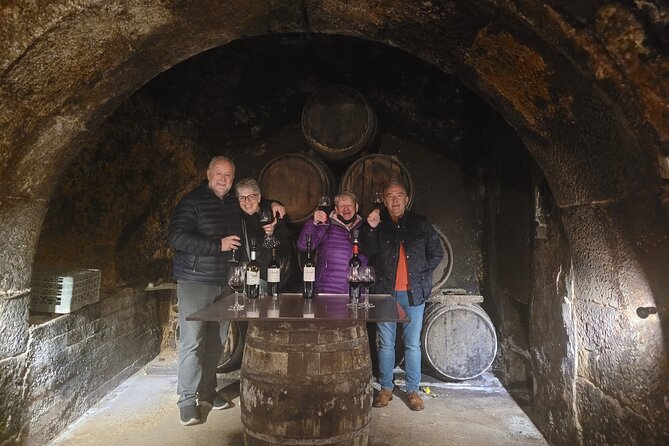 Visit Marques De Riscal & Picnic in Vineyard From Bilbao