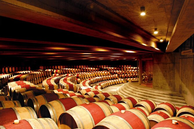 Visit Montes Winery (7th World Best Wine) & Transfer to Hotel