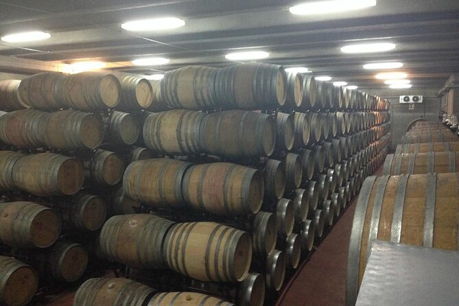 Visit to a Winery in Salento With Wine Tasting and Light Lunch. From Lecce - Inclusions