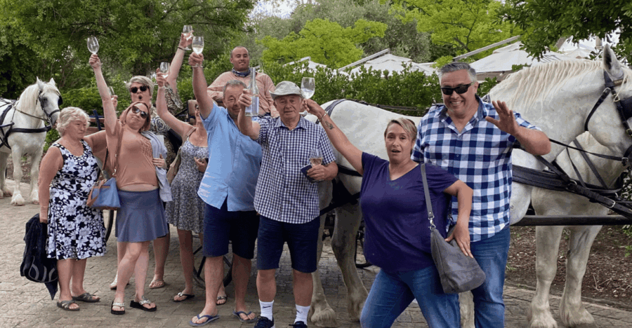 Vrede En Lust Wine Estate: 1H30M Carriage Ride & Wine Taste