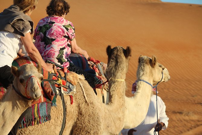 Wahiba Sands Safari With Wadi Swimming and Camelride - Tour Overview