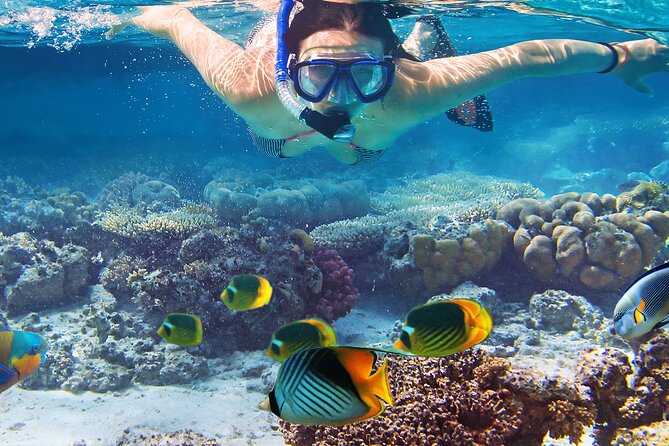 Waikiki Sail and Snorkel Adventure Best of Hawaii