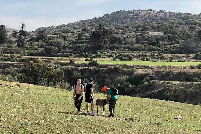 Walk to the Cascade and Marabout of Sidi Mbark & for a Tea to Kaouki