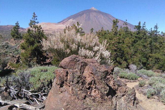 Walking on the Moon Around the Volcano Teide in Tenerife - Additional Information