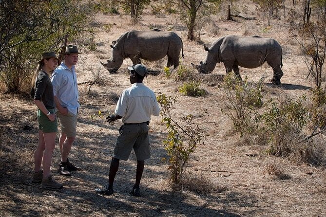 Walking Safari