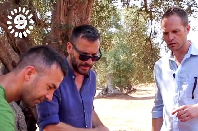Walking to the Shade of the Ancient Olive Trees of Torre Guaceto (Puglia)
