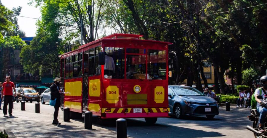 WALKING TOUR in Coyoacán - Small Groups