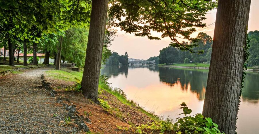 Walking Tour of Valentino Park – the Monumental Trees