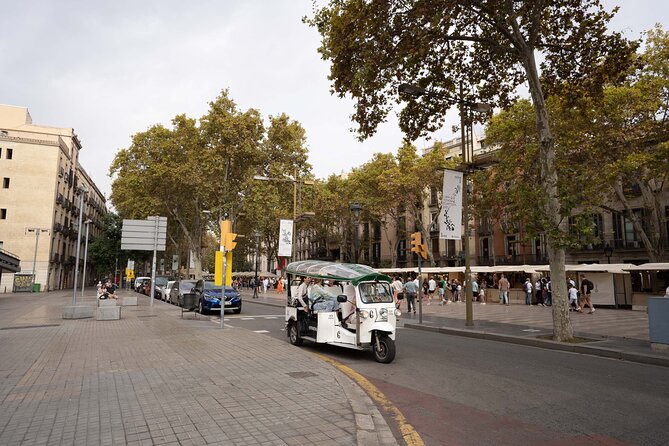 Welcome Tour to Paris by Private Eco Tuk Tuk