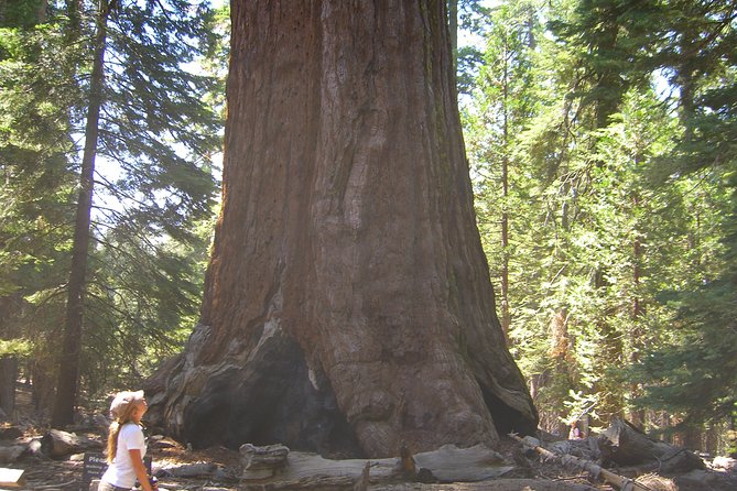 Western National Parks 7 Day Explorer Lodging