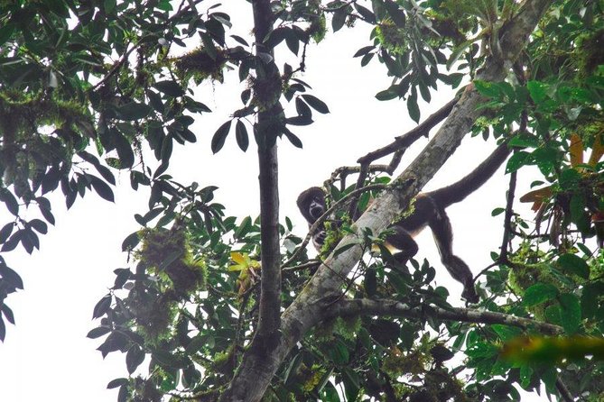 3 Best National Park Tours In Puerto Lopez