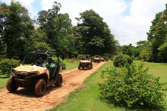 3 Best Quad Bike And ATV Tours In Trelawny