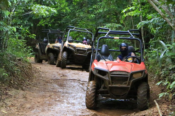 Wet N Dirty ATV Outback Adventure From Runaway Bay