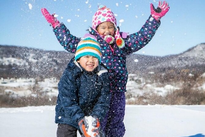 Whitetail Mountain One Day Skiing Tour From Washington D.C - Tour Overview and Details