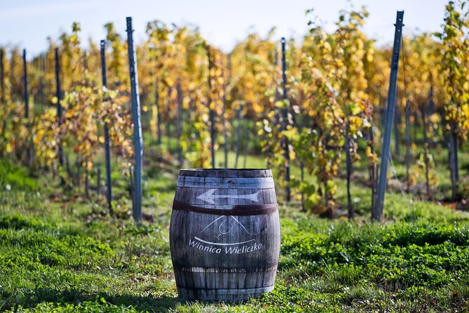 Wieliczka Vineyard: Wine Tasting With Local Snacks - Overview of the Experience