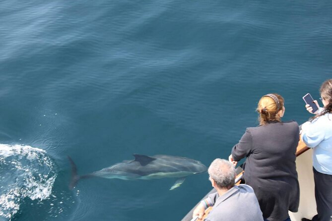 Wildlife Tour