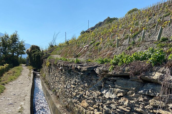 Wine and Dine Vineyard Walk in Sion - Meeting Point and Schedule