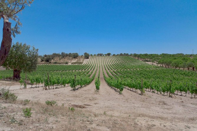 Wine and Food Baroque Day Tour – Private Experience - End Point Arrangements