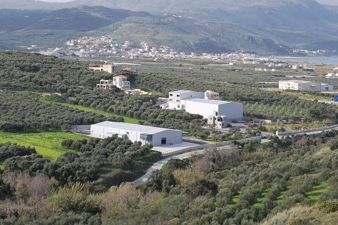 Wine, Beer, Olive Oil Tasting Private Tour (Price per Group of 6) - Tour Overview