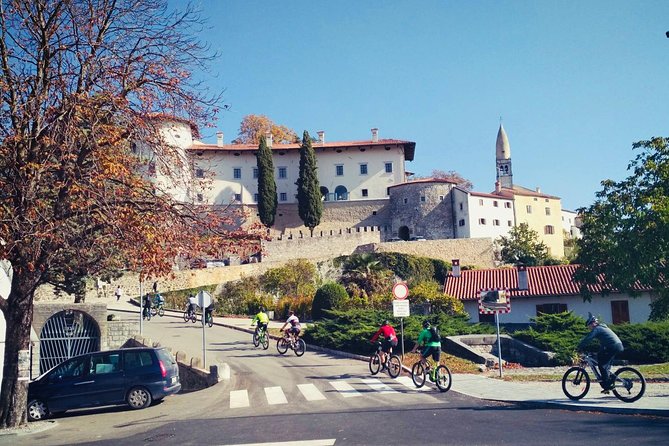 Wine Cycling Tour by E-Bike - Tour Overview