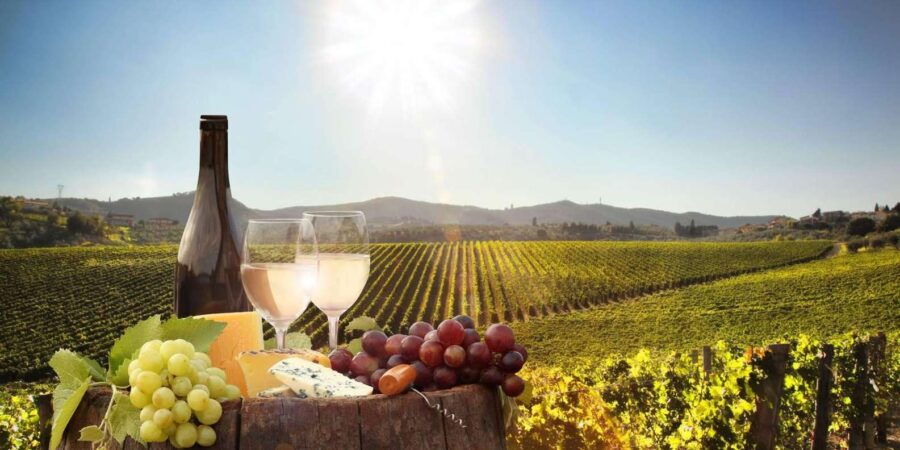 Wine Farm Tours - Key Points
