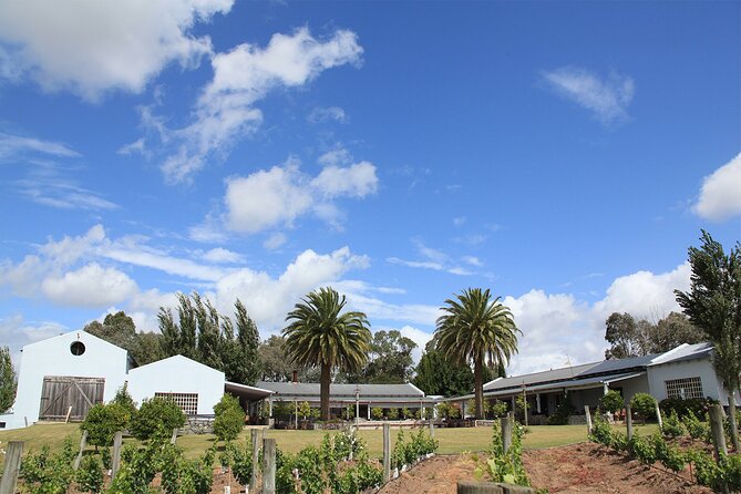 Wine Lovers - Enjoy a Gourmet Lunch in the Countryside! - Overview of the Wine Experience Tour