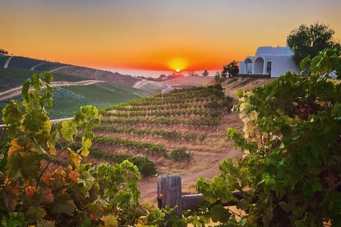 Wine Tasting Audio Tour - Paso Robles CA - Overview of the Wine Tasting Tour