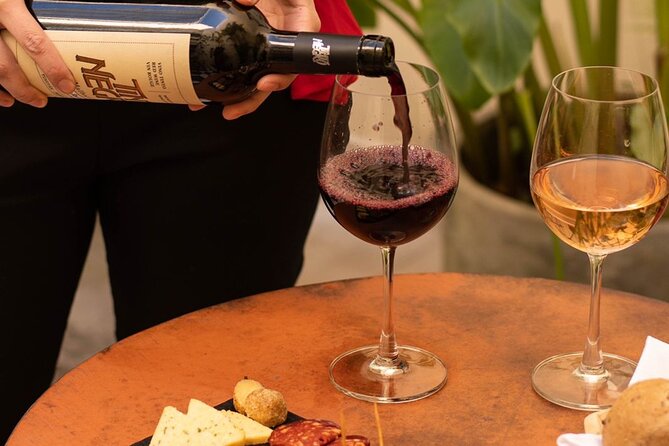 Wine Tasting Boutique in Buenos Aires - Overview of the Wine Tasting Experience