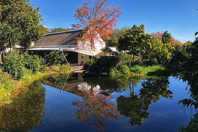 Wine Tasting, Cape Dutch Farm and Art Day Tour From Cape Town - Tour Overview