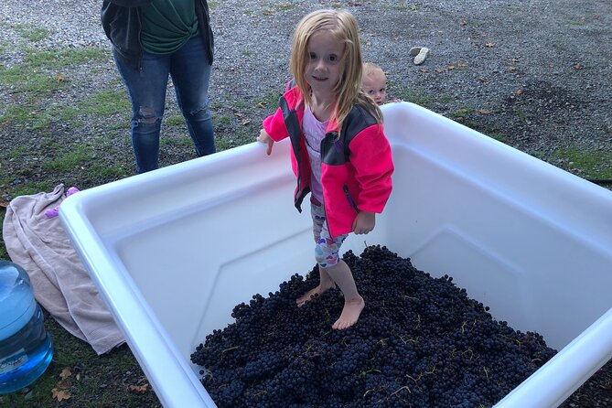 Wine Tasting Experience in Centralia