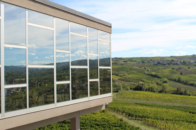 Wine Tasting Experience in Oltrepò