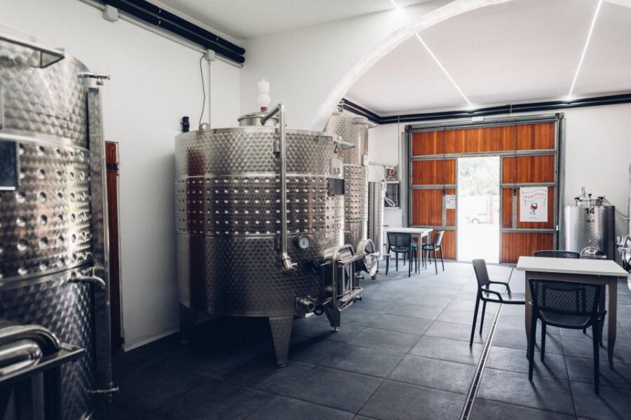 Wine Tour in a Family Winery in Tuscany