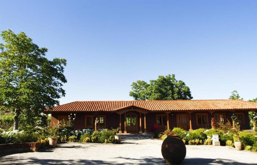 Wine Tour Maipo Valley