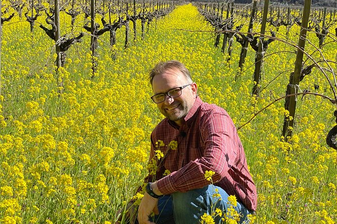 Wine Tour Pros – Corporate Charters and Events