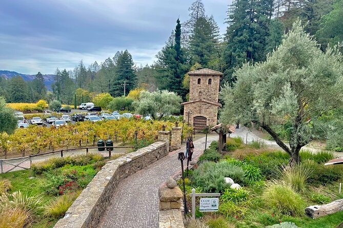 Wine Tour Transportation Services in Napa Valley