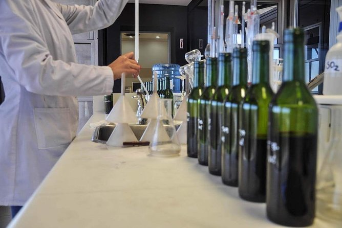 Winemaker for a Day. Learn How to Make Your Own Wine
