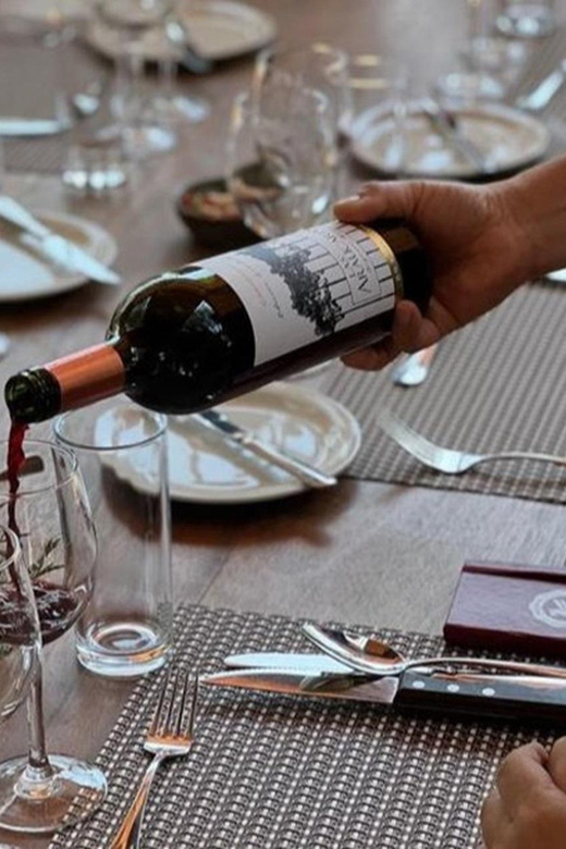 5 Best Wine Tours In Chile