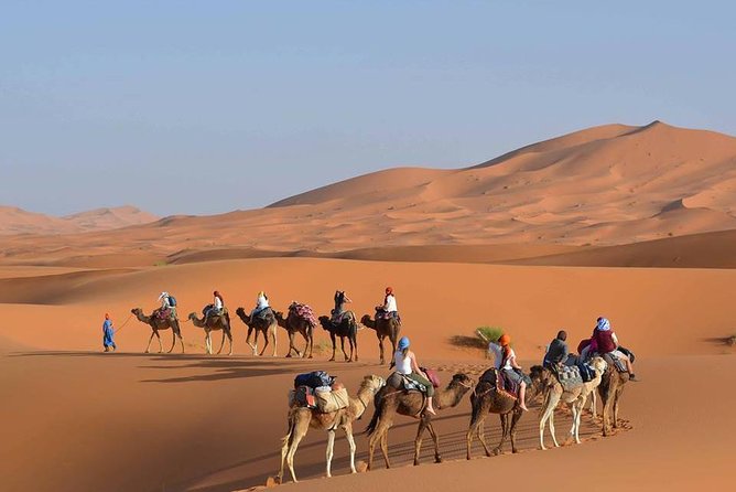 Wonderful Desert Tour From Fes To Merzouga 1 Night 2 Days - Tour Overview