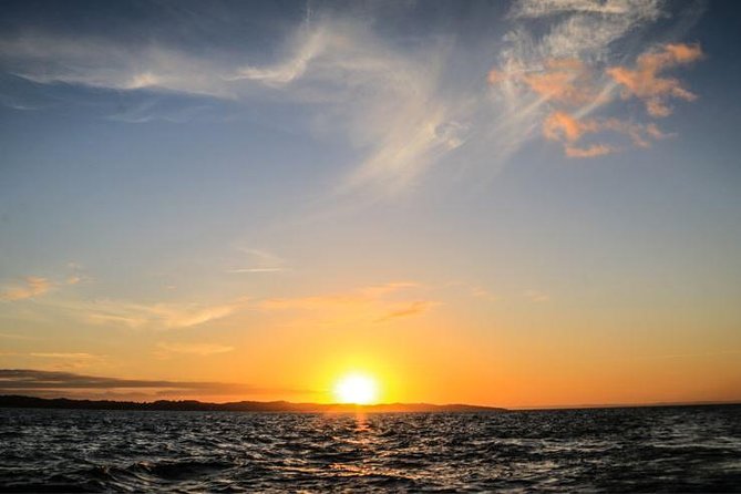 Wonders of Frades and Itaparica Islands Full Day Tour, Salvador, Bahia, Brazil