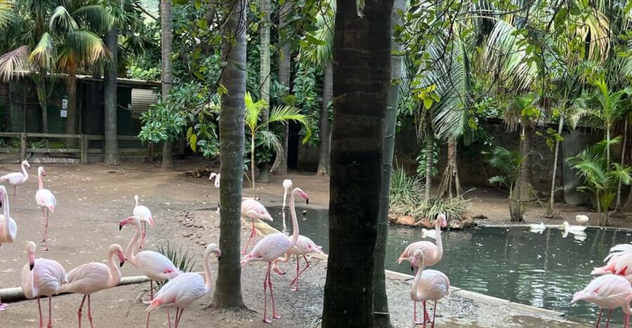 World of Birds, Kirstenbosch & Constantia Wine Private Tour
